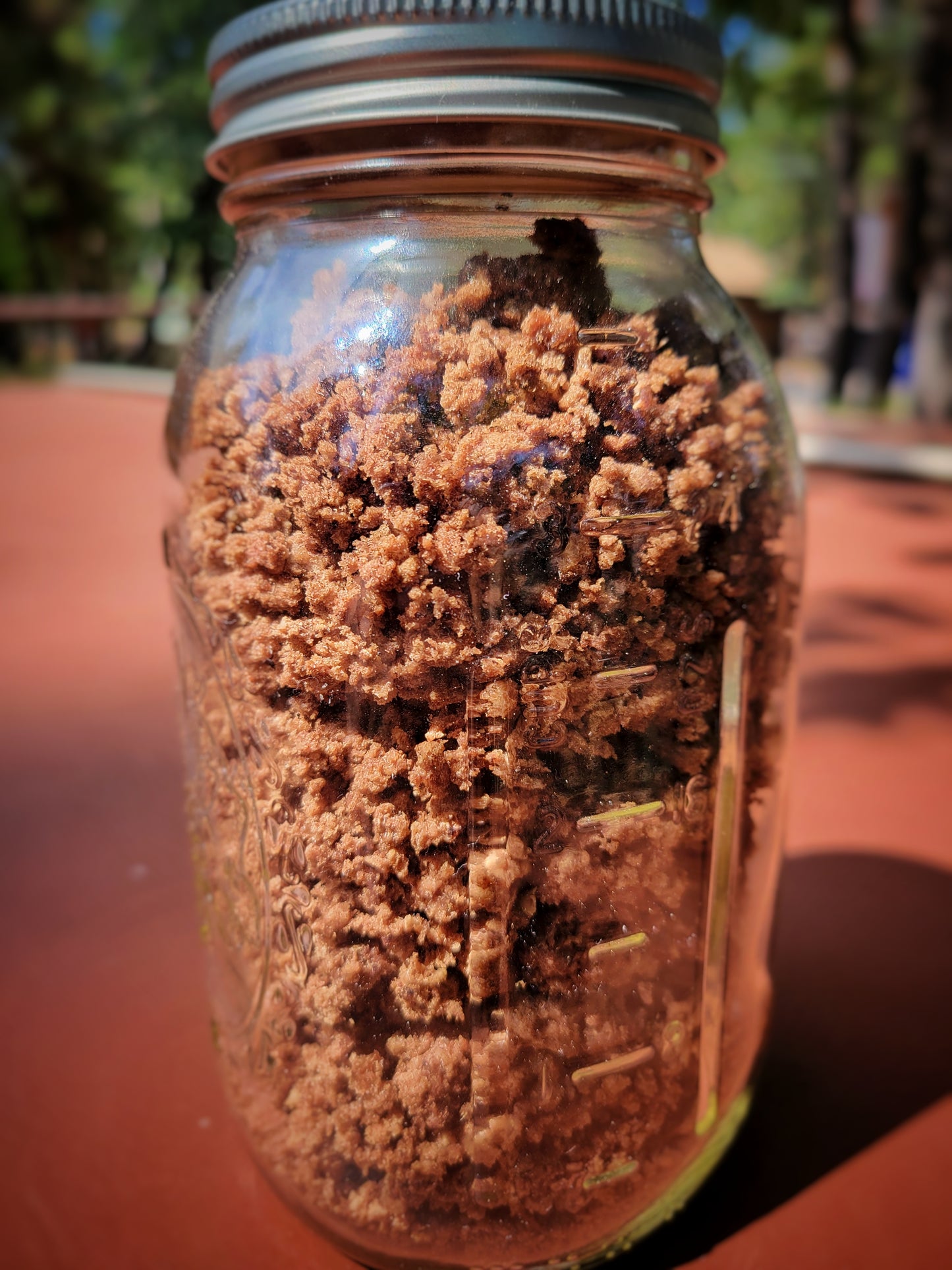 Organic Ground Beef