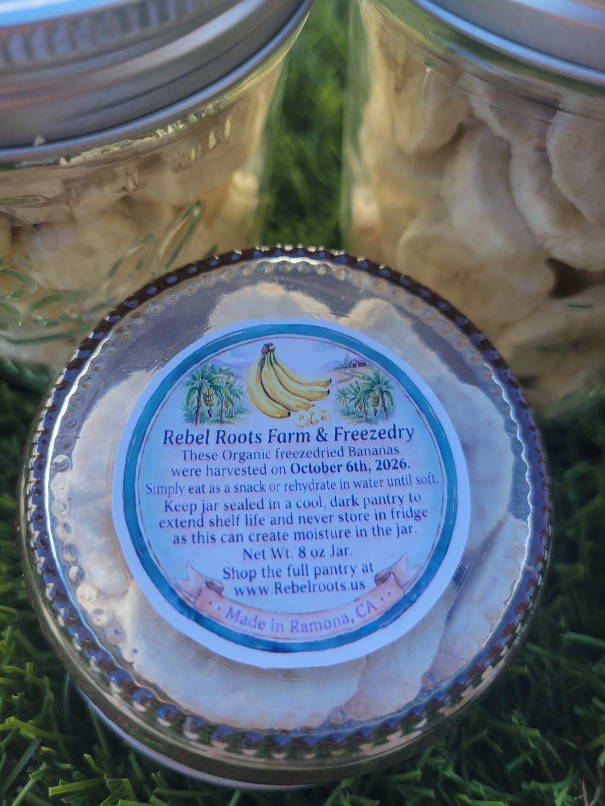 Organic Freezedried Banana