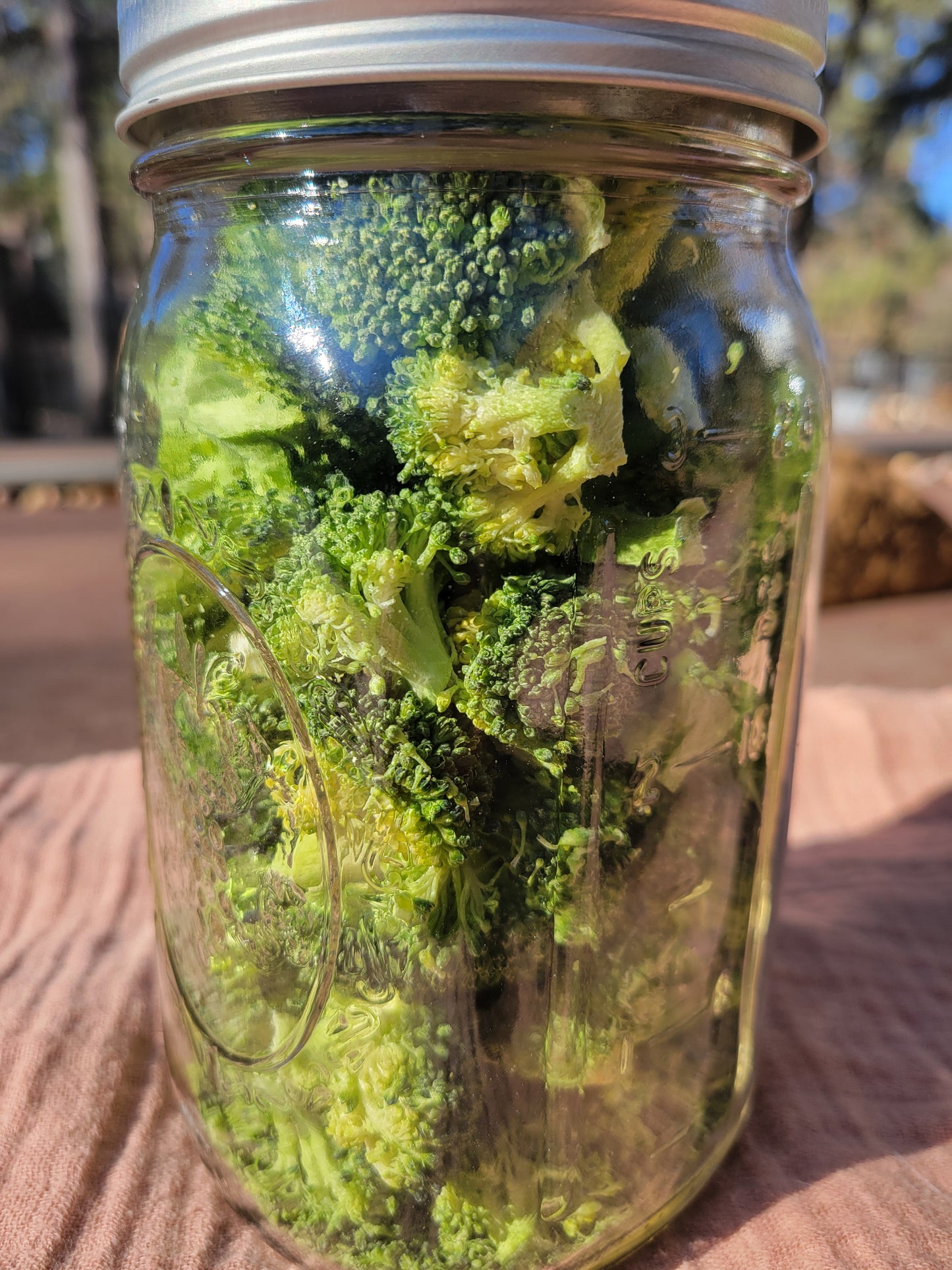 Organic Freeze Dried Broccoli