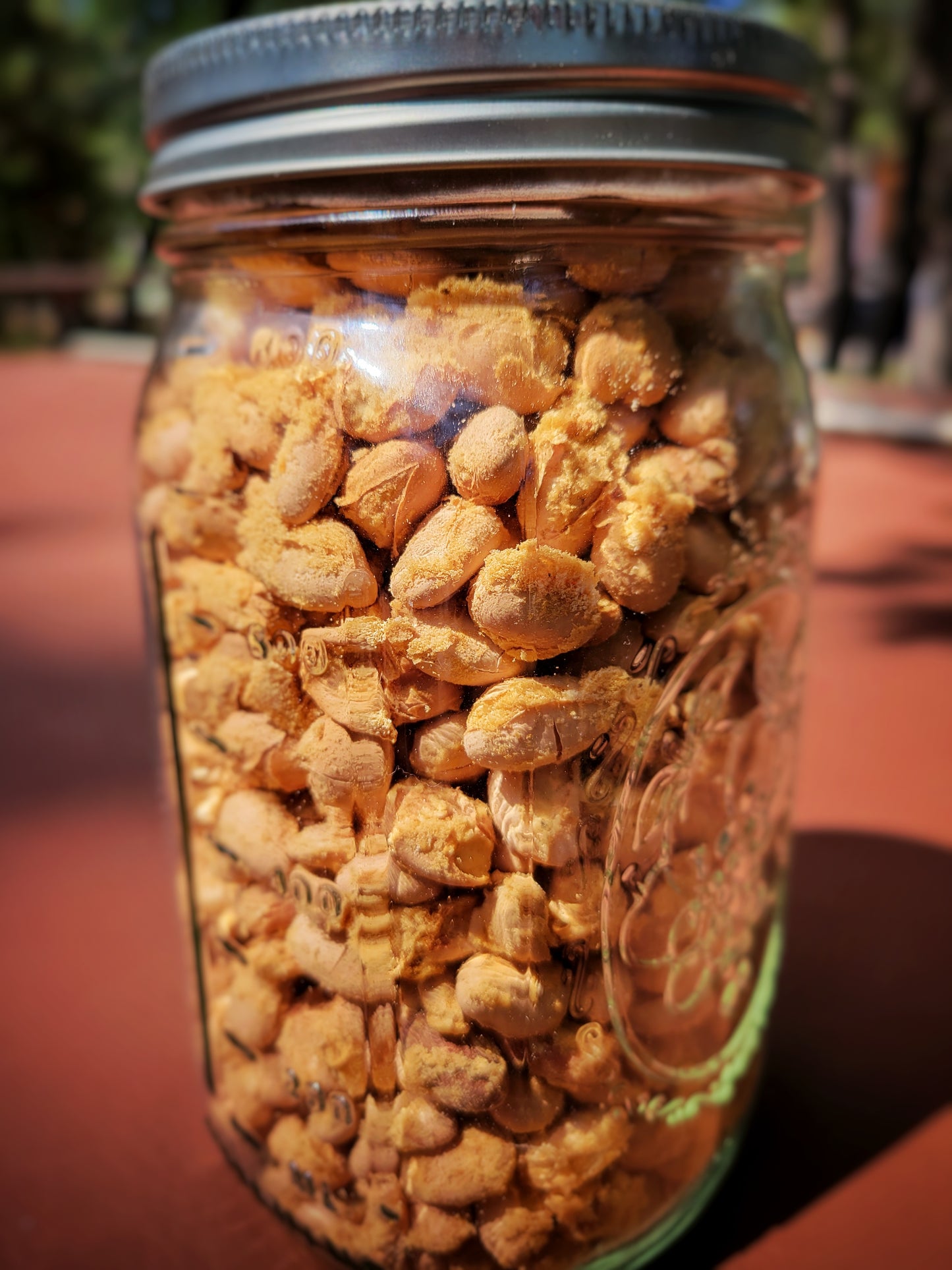 Chipotle & Garlic Pinto Beans