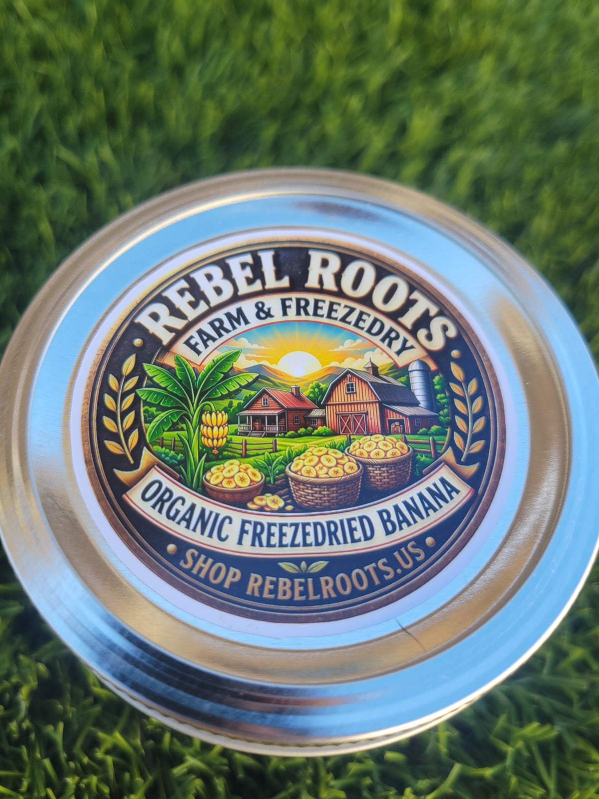 Organic Freezedried Banana