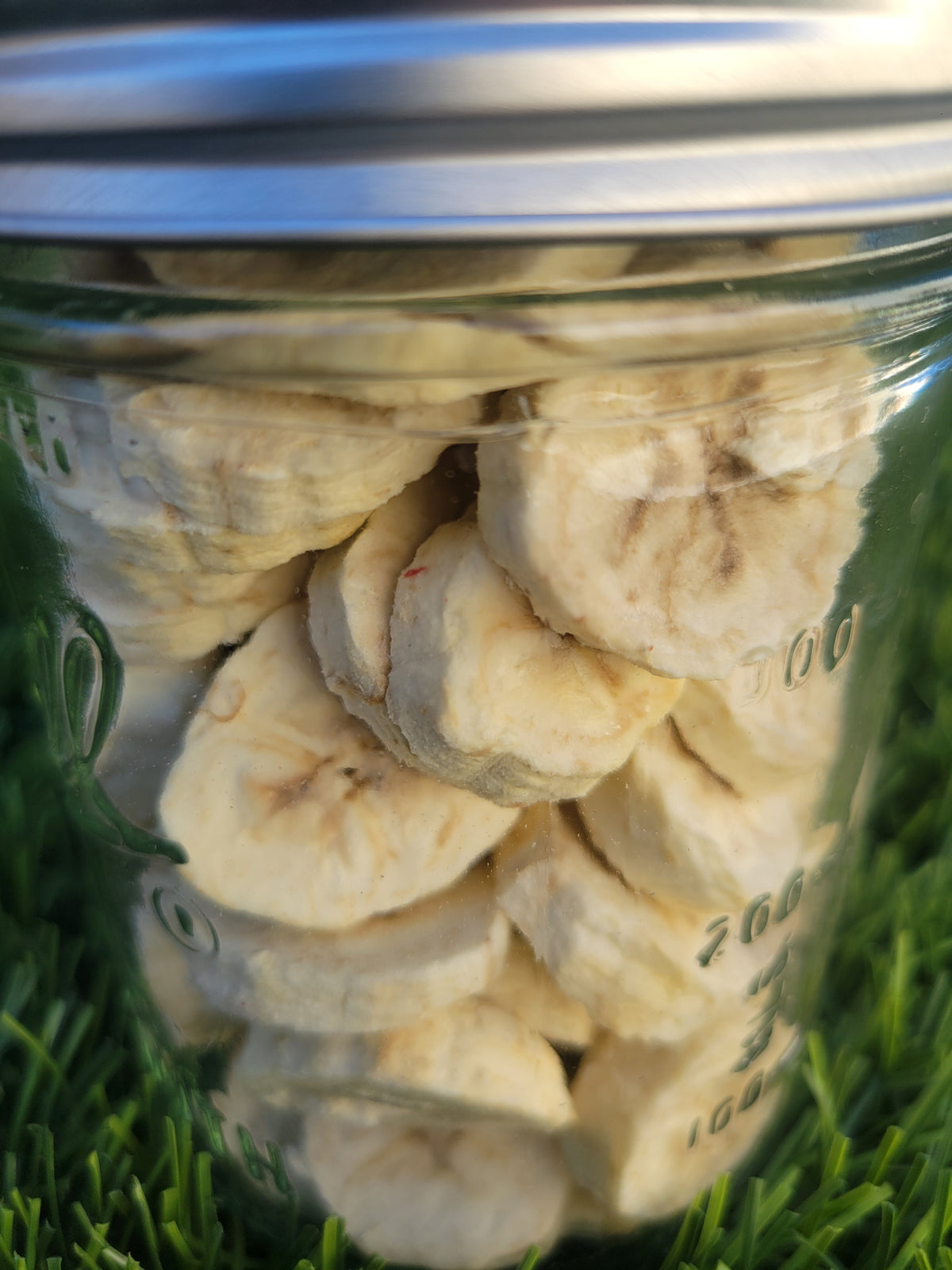 Organic Freezedried Banana