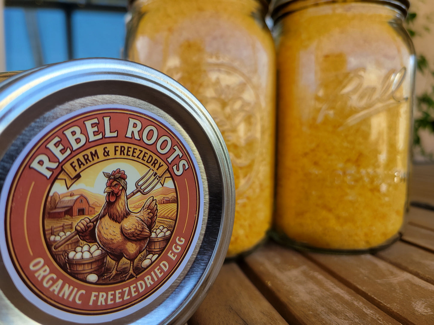 Organic Freeze Dried Eggs