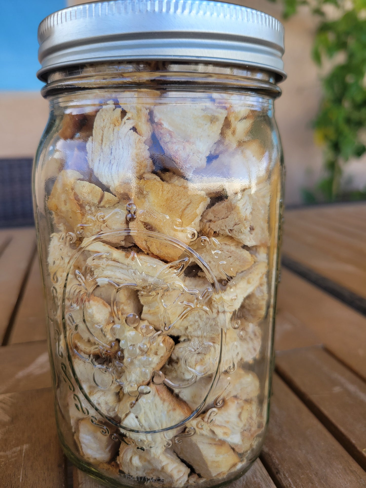 Organic Grilled Chicken Breast